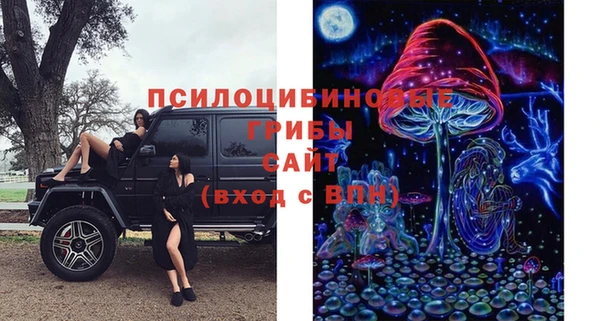 СК Абинск